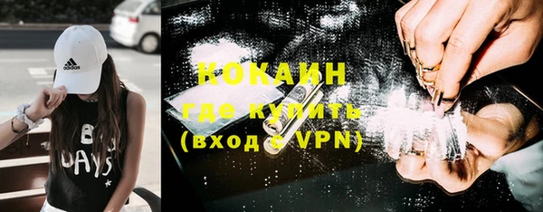 стаф Осташков