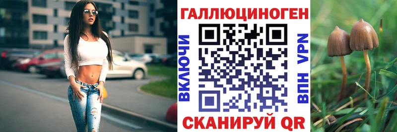 что такое   Углегорск  Галлюциногенные грибы мицелий 